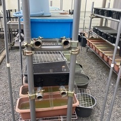 【決定しました】単管パイプの棚の画像