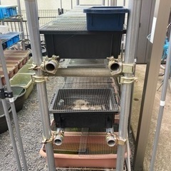 【決定しました】単管パイプの棚の画像