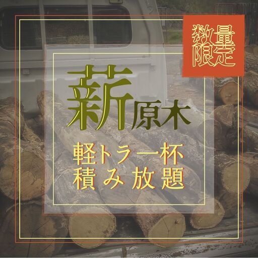 訳あり薪原木(ほぼニセアカシア)軽トラ1車から