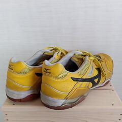 MIZUNO　シューズ29センチの画像