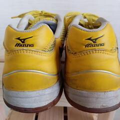 MIZUNO　シューズ29センチの画像