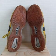 MIZUNO　シューズ29センチの画像