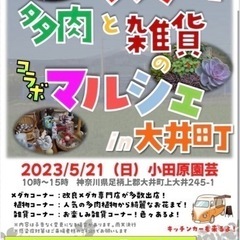 めだか多肉と雑貨のマルシェ開催