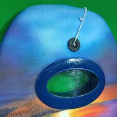 ビート板①　ボディーボードの画像