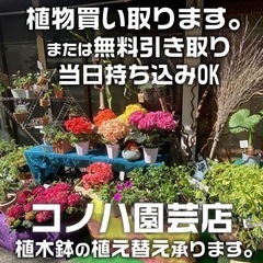 植物なんでも引き取ります。当日持ち込みOK