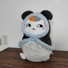 にゃんこ先生ぬいぐるみ