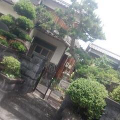 決定 【草引き】 田布施町 波野よりの画像