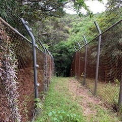 草刈り　22日〜1週間程度の画像