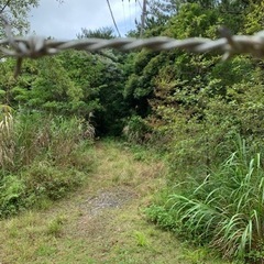 草刈り　22日〜1週間程度の画像