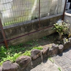 庭土無料で差し上げます