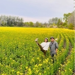【ワンコイン】ヨガ受けたら菜の花ポテトが無料！ - 帯広市