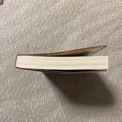 【最終価格】文庫本　探偵貴族　麻耶雄嵩の画像