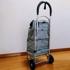 🛒シンプル高機能ショッピングカート／上段常温・下段保冷の２層式タイプ♻️中古品の画像