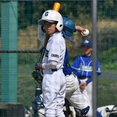 緊急募集中❕中川区で活動中の少年野球チーム　中京キャロルです。の画像