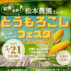 5月21日日曜日南島原市深江町水無し本陣道の駅ひまわりにてメダカ販売の画像