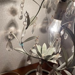 アンティークライトの画像