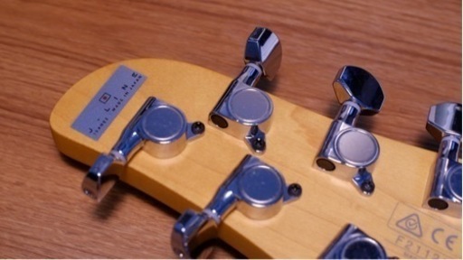 Ibanez TM730-IV Ivory (ホワイトピックガード仕様)