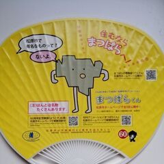 flumpool　フランプール　マッキー　エコバッグ＆うちわの画像