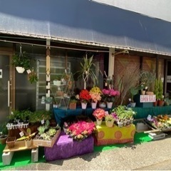 不要になった植物を引き取ります。 - 八王子市
