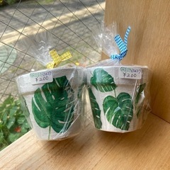 2023/05/19（金）120 GREENショコラさん納品✨