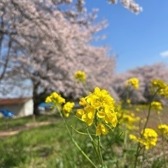 【シングル限定】埼玉県民オープンチャット仲間募集