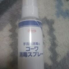 コーワ　消毒スプレー