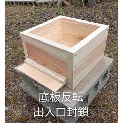 ♦紀州無節杉材♦『日本蜜蜂　重箱式巣箱』待ち受け箱セットの画像