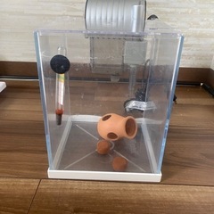 熱帯魚　飼育セット