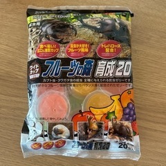 フルーツの森　カブトムシ