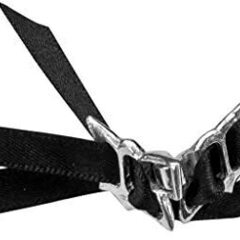 ALCHEMY GOTHIC: Passion Necklace 情熱の画像