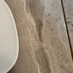 Apple純正Magic Mouse A1296 ワイヤレスマウスの画像