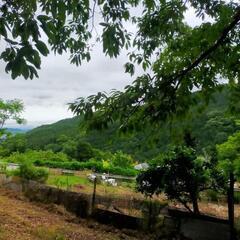 ✨結の市✨ 南足柄 矢倉沢 15時まで😊 − 神奈川県