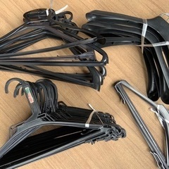 ハンガー45本セットの画像