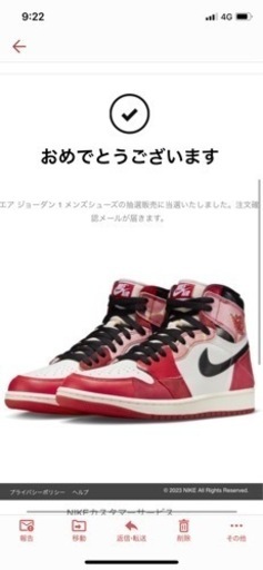 jordan1 NEXT CHAPTER