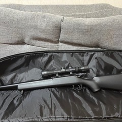 VSR