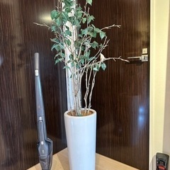 フェイク観葉植物　
