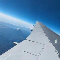 予定者きまりました！無料★網戸あげます！の画像