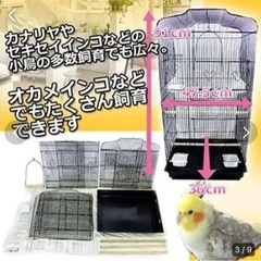 鳥小屋の中古が安い！激安で譲ります・無料であげます(3ページ目