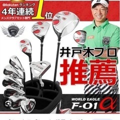 ゴルフフルセットWORLD EAGLE（初心者用）CH809 チッパー付き！メンズ【右利き用】の画像