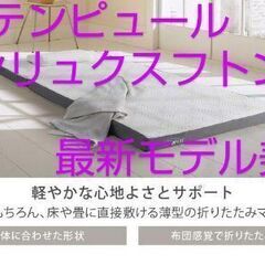 テンピュール ワンリュクスフトン シングル美品