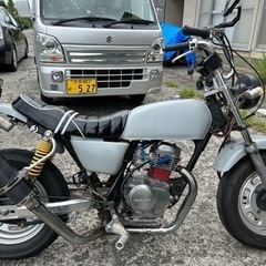 エイプ50