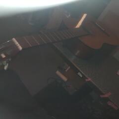 ガットギター
