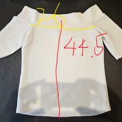 アイルランドで購入したMADE IN ITALY トップの画像