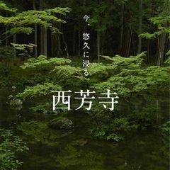 苔寺行きませんか？6/6 10:00〜