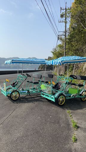 タンデム電動4輪アシスト自転車2人乗り230000円