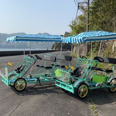 タンデム電動4輪アシスト自転車2人乗り230000円