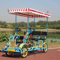 タンデム電動4輪アシスト自転車2人乗り230000円の画像
