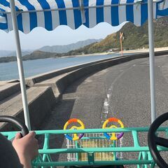 タンデム電動4輪アシスト自転車2人乗り230000円の画像