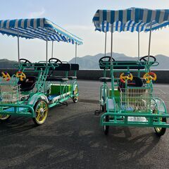 タンデム電動4輪アシスト自転車2人乗り230000円の画像