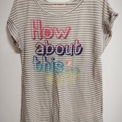 ロゴ入りTシャツ Mサイズ レディース ボーダー  